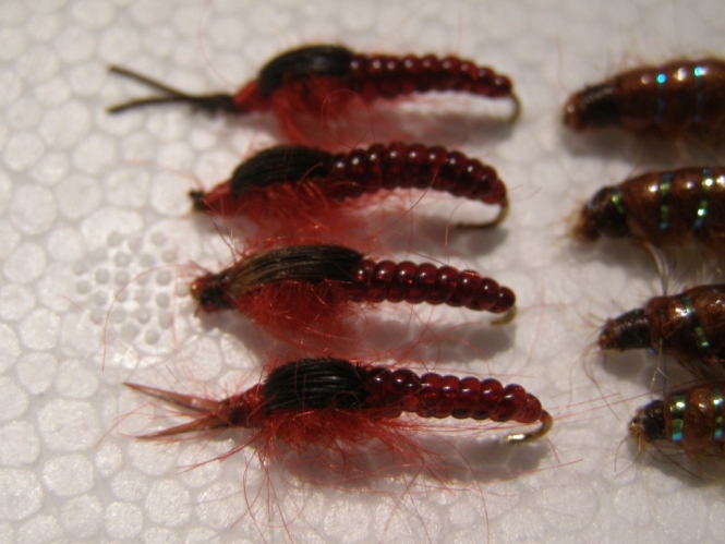 Mario Carp fishing 033.jpg